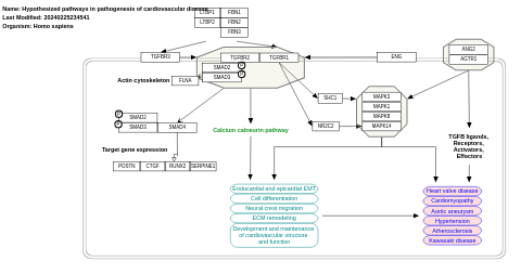 Hypothesized pathways in pathogenesis of cardiovascular disease