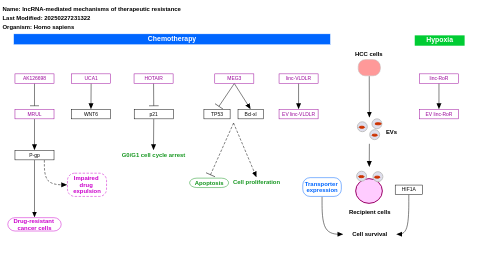 lncRNA-mediated mechanisms of therapeutic resistance