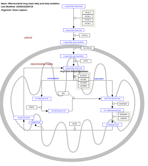 Mitochondrial long chain fatty acid beta-oxidation