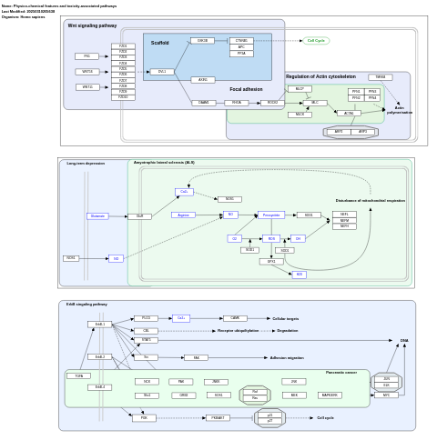 Physico-chemical features and toxicity-associated pathways