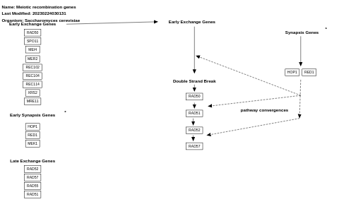 Meiotic recombination genes