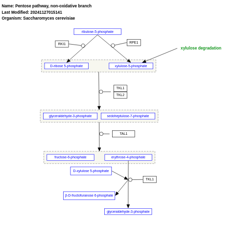 Pentose pathway, non-oxidative branch