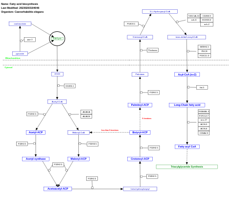 Fatty acid biosynthesis