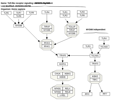 Toll-like receptor signaling related to MyD88