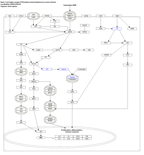 T-cell antigen receptor (TCR) pathway during Staphylococcus aureus infection