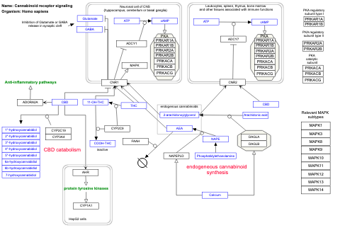 Cannabinoid receptor signaling