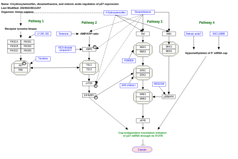 4-hydroxytamoxifen, dexamethasone, and retinoic acids regulation of p27 expression