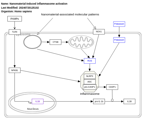 Nanomaterial-induced inflammasome activation