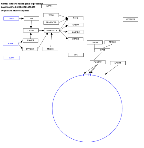 Mitochondrial gene expression