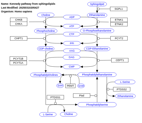 Kennedy pathway from sphingolipids