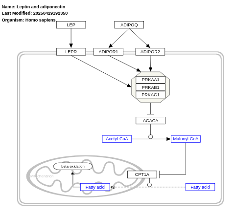 Leptin and adiponectin