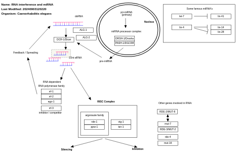 RNA interference and miRNA