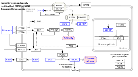 Serotonin and anxiety