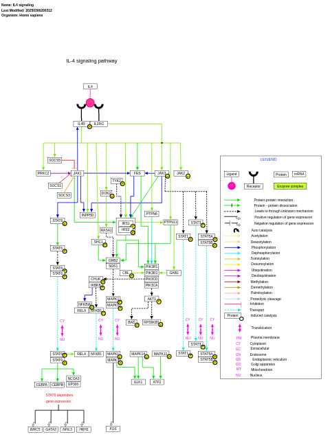 IL-4 signaling pathway