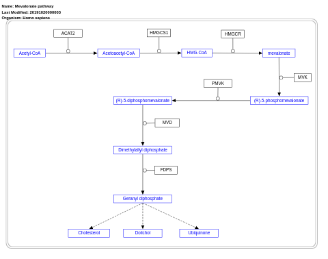 Mevalonate pathway