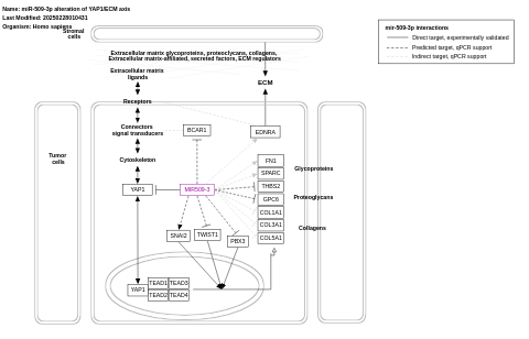 miR-509-3p alteration of YAP1/ECM axis