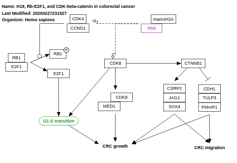 H19 action Rb-E2F1 signaling and CDK-Beta-catenin activity