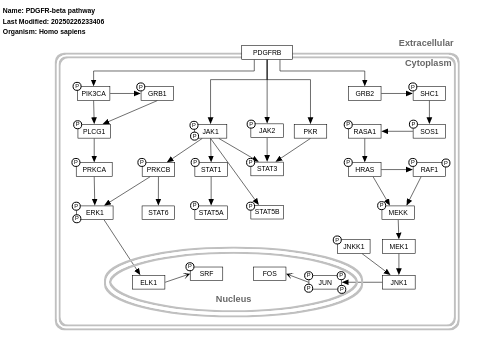 PDGFR-beta pathway