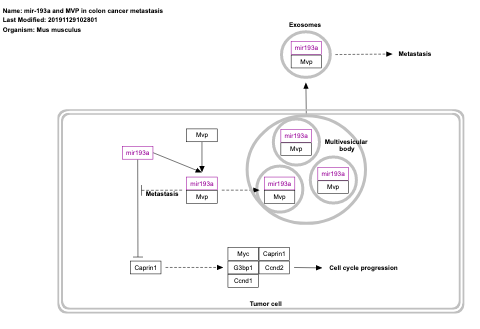 mir-193a and MVP in colon cancer metastasis