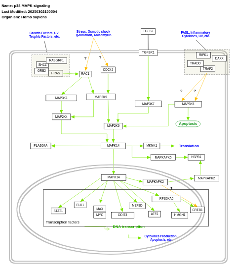 p38 MAPK signaling pathway