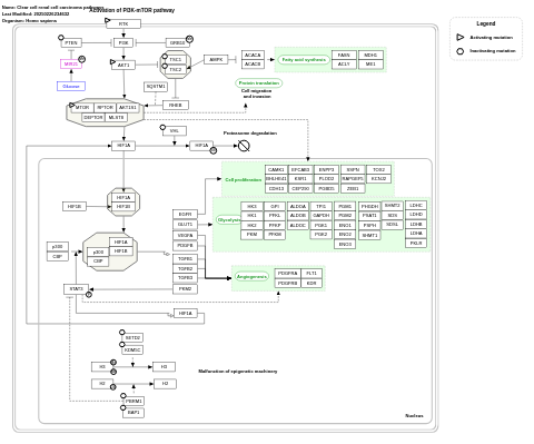 Clear cell renal cell carcinoma pathways