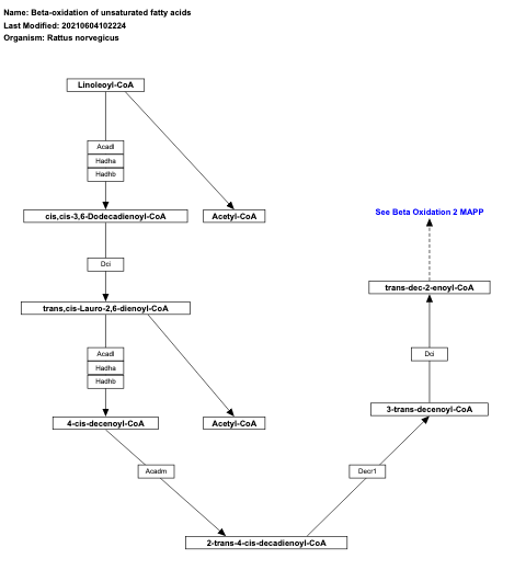 Beta-oxidation of unsaturated fatty acids