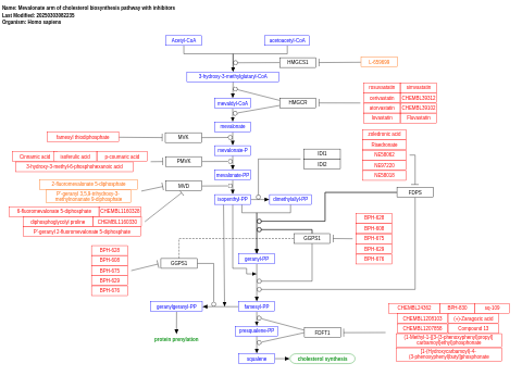 Mevalonate arm of cholesterol biosynthesis pathway with inhibitors