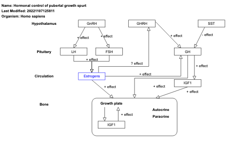 Hormonal control of pubertal growth spurt