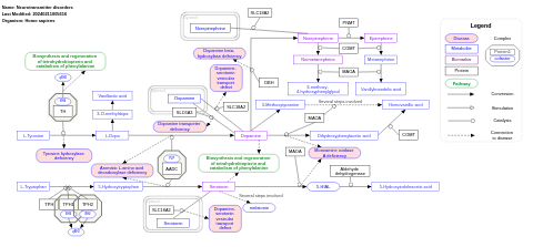 Neurotransmitter disorders