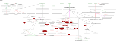 Flavan-3-ol metabolic pathway