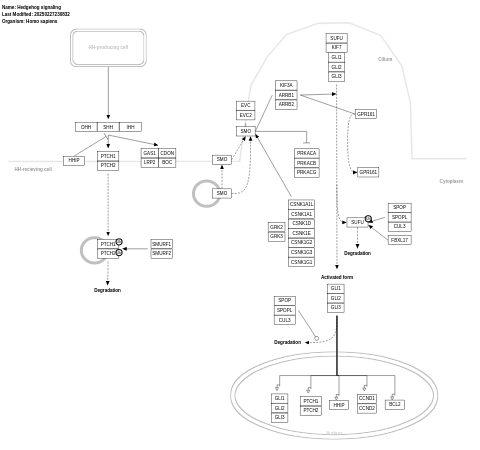 Hedgehog signaling pathway