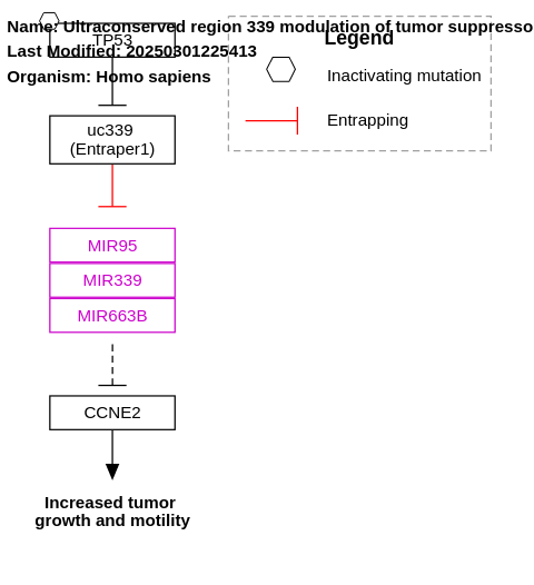 Ultraconserved region 339 modulation of tumor suppressor microRNAs in cancer