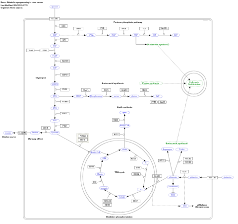 Metabolic reprogramming in colon cancer