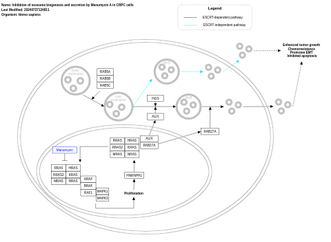 Inhibition of exosome biogenesis and secretion by Manumycin A in CRPC cells