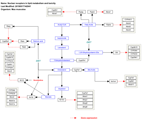 Nuclear receptors in lipid metabolism and toxicity