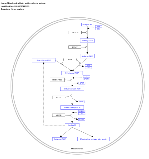 Mitochondrial fatty acid synthesis pathway