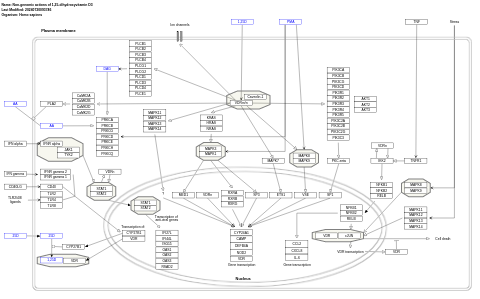 Non-genomic actions of 1,25 dihydroxyvitamin D3