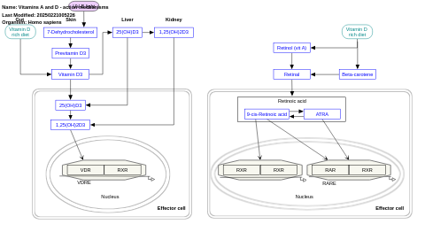 Vitamins A and D - action mechanisms