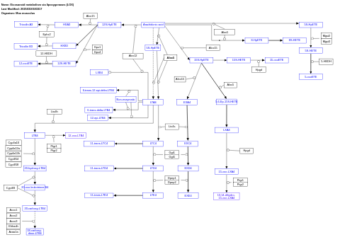 Eicosanoid metabolism via lipoxygenases (LOX)