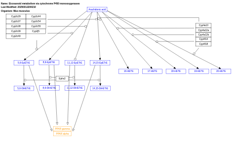 Eicosanoid metabolism via cytochrome P450 monooxygenases