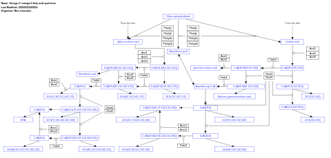 Omega-3 / omega-6 fatty acid synthesis