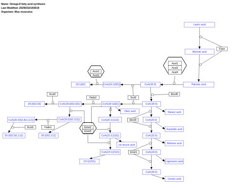 Omega-9 fatty acid synthesis