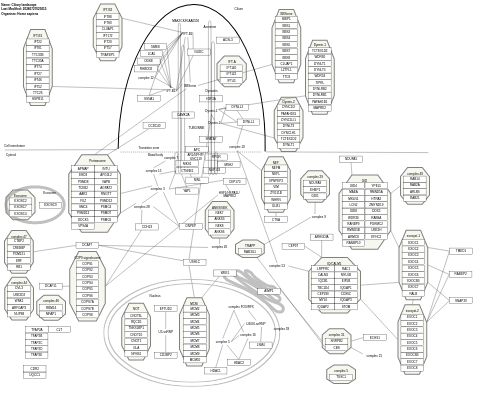 Ciliary landscape