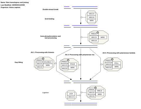 Non-homologous end joining