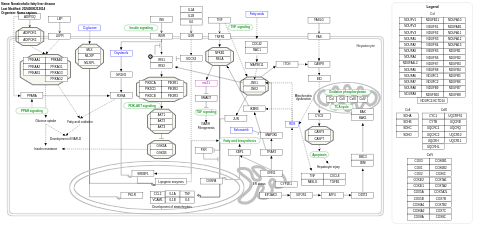 Nonalcoholic fatty liver disease