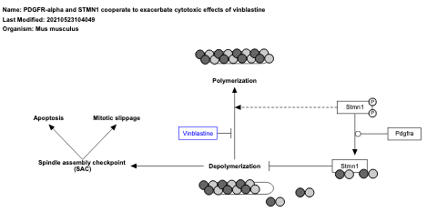 PDGFR-alpha and STMN1 cooperate to exacerbate cytotoxic effects of vinblastine