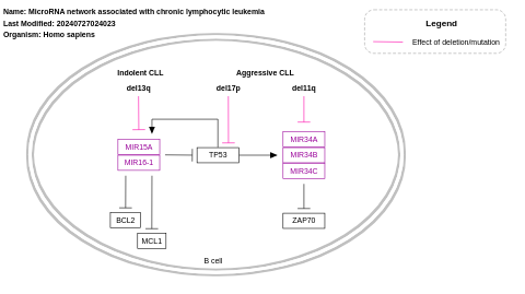 MicroRNA network associated with chronic lymphocytic leukemia