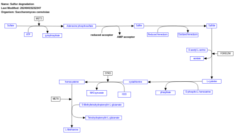 Sulfur degradation