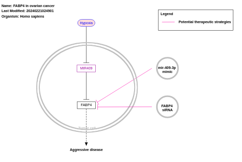 FABP4 in ovarian cancer