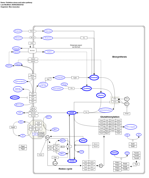 Oxidative stress and redox pathway